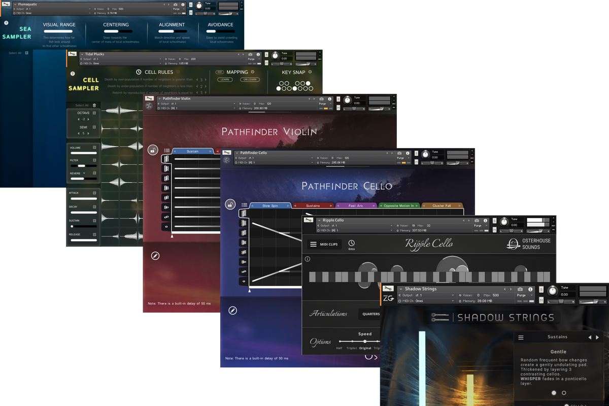 Everything Bundle